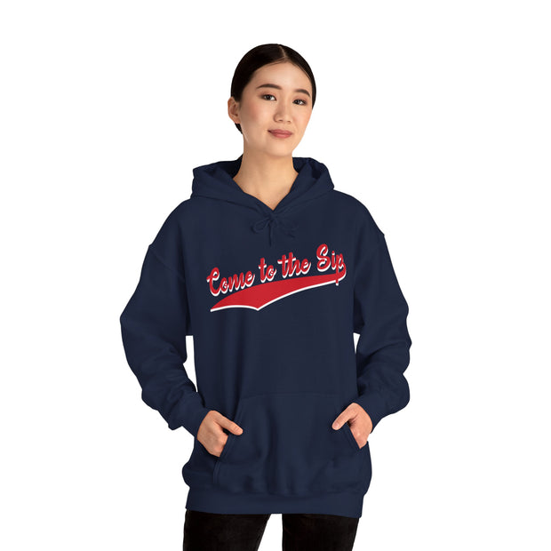 Unisex Heavy Blend™ Hooded Sweatshirt